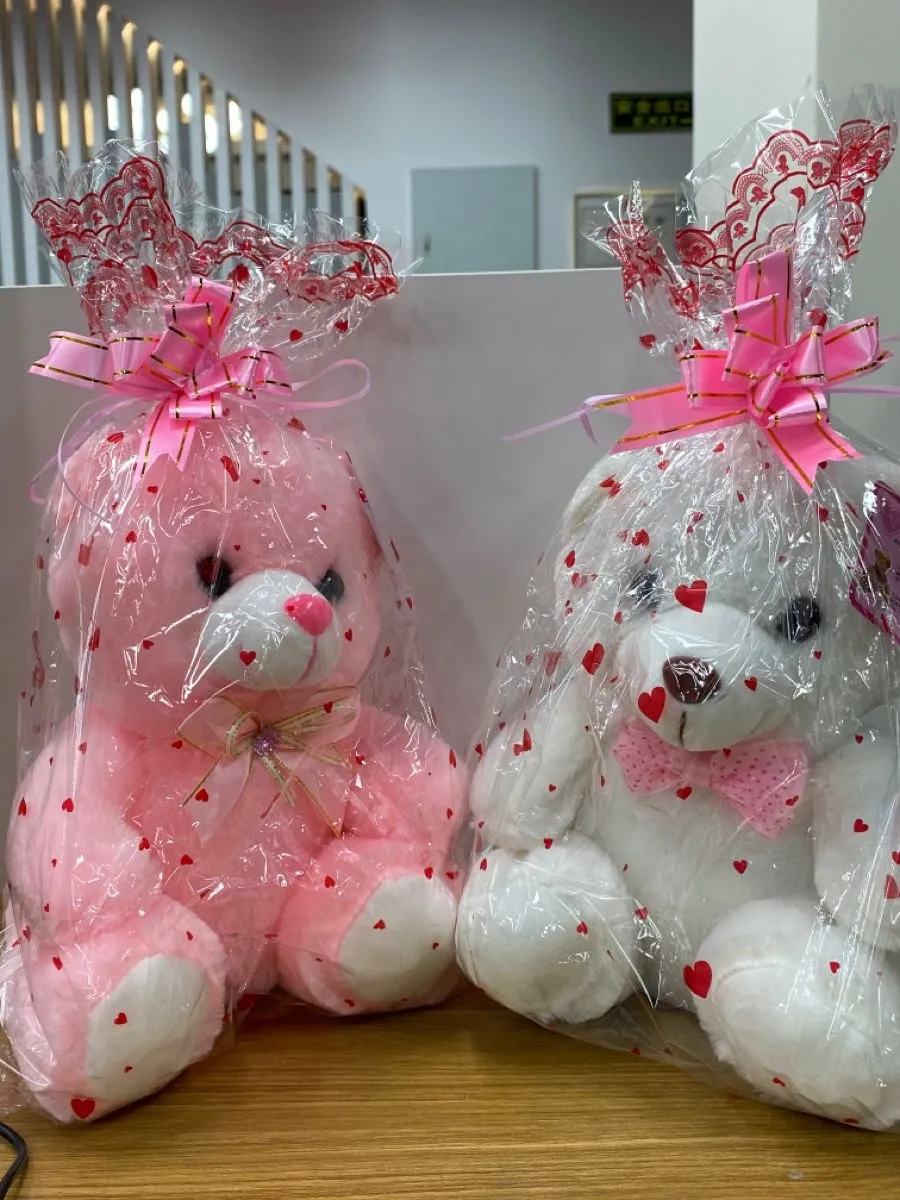 Gallery Photo 5 - Marketplace | Teddy Bears, Bonas, Yaoundé, Cameroon | Toys, Games, & Hobbies  > Toys 