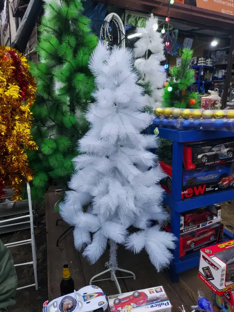 Main Photo - Marketplace | 🎄✨ Christmas Trees For Sale! ✨🎄, Clerks Quarters, Buea, Cameroon | General & Others 