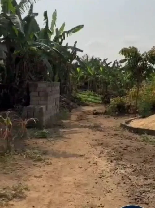 Main Photo - Real Estate | Land For Sale | Land For Sale At Wututu, Wututu, Limbé, Cameroon