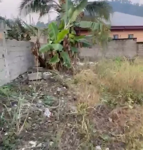 Main Photo - Real Estate | Land For Sale | New Listing – Prime Land At Ewongo Layout, Ewongo, Limbé, Cameroon