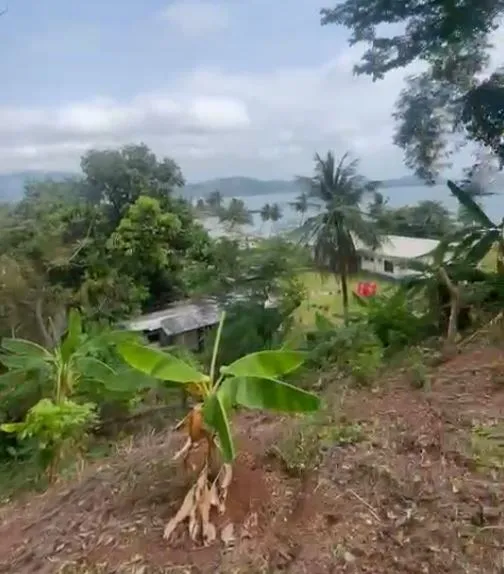 Main Photo - Real Estate | Land For Sale | Distressed Sale Alert: Prime Coastal Plots – Kie Layout 🚨, Kie Village, Limbé, Cameroon