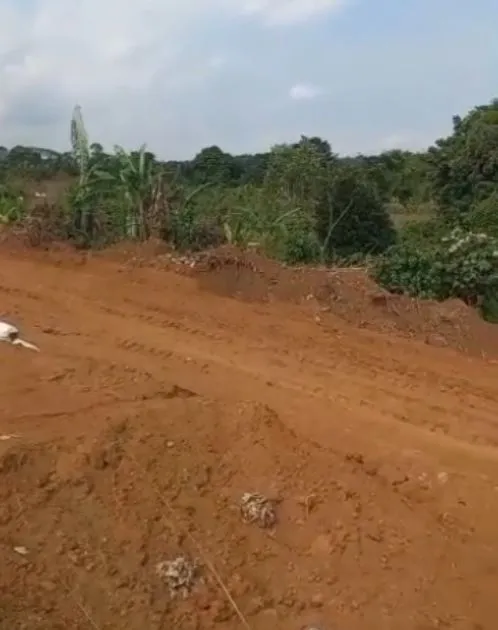 Main Photo - Real Estate | Land For Sale | Affordable Land Opportunity: Wonjamba, Mutengene 🌳, Bonjamba opposite the Brasseries dépôt in Mutengene, Mutengene, Cameroon
