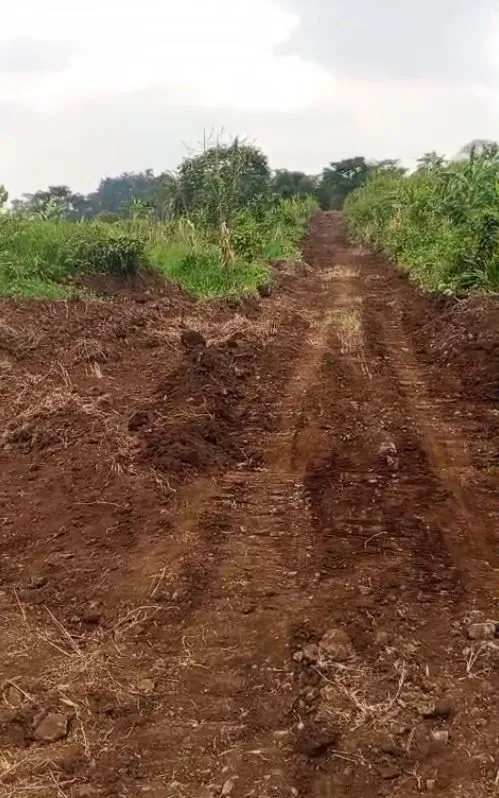 Main Photo - Real Estate | Land For Sale | Affordable Land For Sale – Wonjia Village, Buea 🇨🇲 🏡, Wonjia Village, Buea, Cameroon