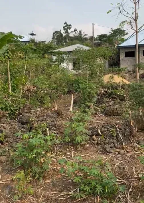 Main Photo - Real Estate | Land For Sale | Land For Sale – Mile 4 📍, Mile 4, Limbé, Cameroon