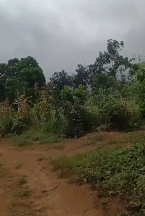 Main Photo - Real Estate | Land For Sale | Affordable Land For Sale – Bonjongo, Fako 🏡, Bojongo Court Area (Just after Catholic Mission), Buea, Cameroon