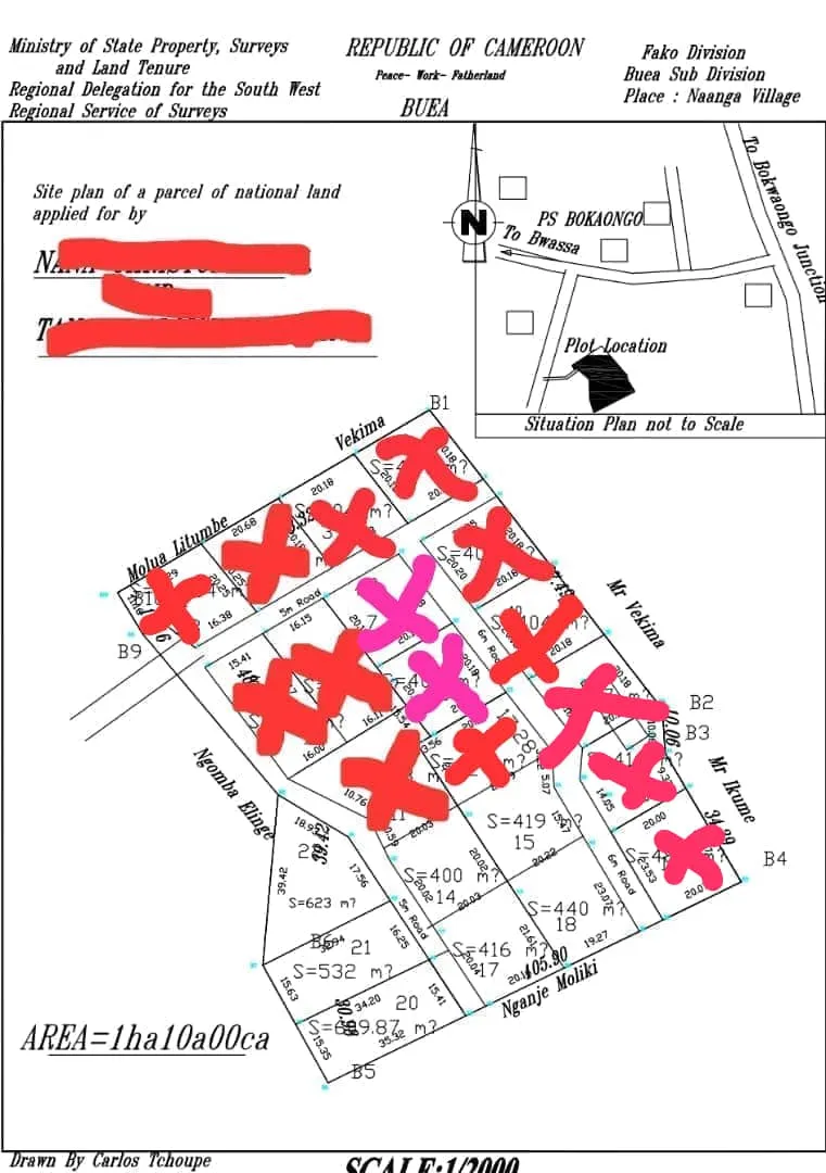 Main Photo - Real Estate | Land For Sale | Land For Sale – Bwassa Road, Bokwaongo, Buea, Bokwango, Buea, Cameroon