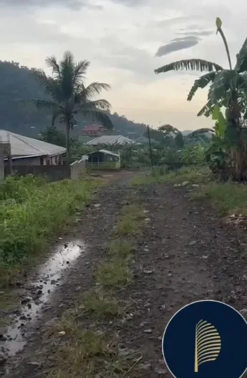 Main Photo - Real Estate | Land For Sale | New Listing — Land For Sale At Mile 3 Busumbu, Limbe, Bussumbu, Limbé, Cameroon