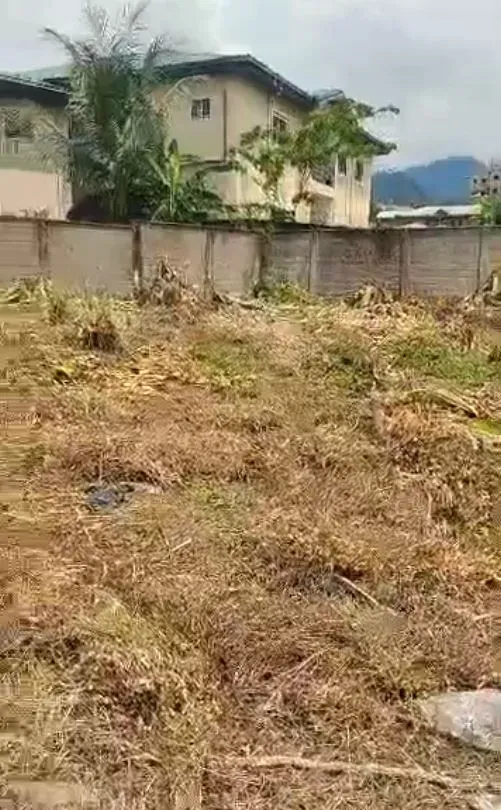 Main Photo - Real Estate | Land For Sale | Prime Land For Sale At Middle Farms, Limbe, Middle Farm Camp, Limbé, Cameroon