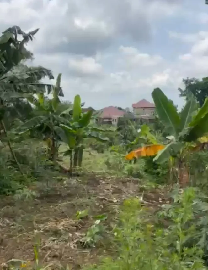 Main Photo - Real Estate | Land For Sale | Land For Sale – Bokwai, Buea 🔥🔥, Bokwai, Buea, Cameroon