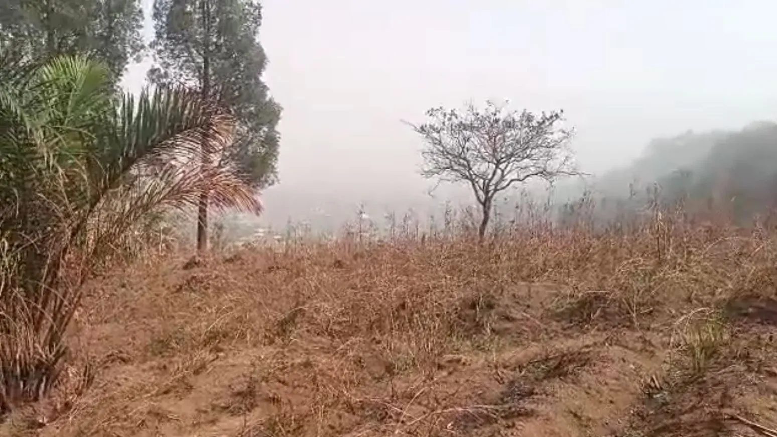 Main Photo - Real Estate | Land For Sale | Special Land Offer – Bluemoon Upstation 🔥🔥, Up station, Bamenda, Cameroon