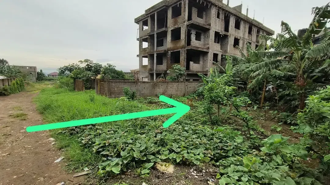 Main Photo - Real Estate | Land For Sale | New Listing – Prime Land For Sale In Molyko, Buea 🔥🔥, Molyko, Buea, Cameroon