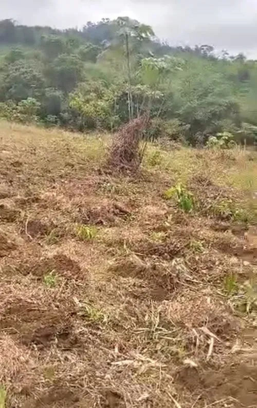 Main Photo - Real Estate | Land For Sale | Land For Sale – Man O’ War Bay, Limbe 3 🇨🇲 🏡🌍, Man O War Bay, Limbé, Cameroon