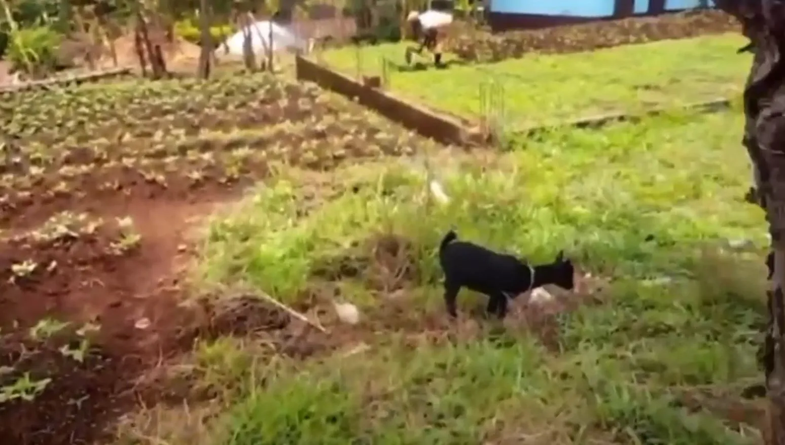 Main Photo - Real Estate | Land For Sale | Land With Foundation For Sale – Bambili (Down Quarter) 🇨🇲, Bambili, Bamenda, Cameroon