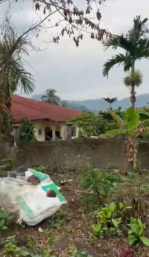 Main Photo - Real Estate | Land For Sale | New Listing — Land For Sale At Samco Quarter, Mile 4, Limbe, Mile 4, Limbé, Cameroon