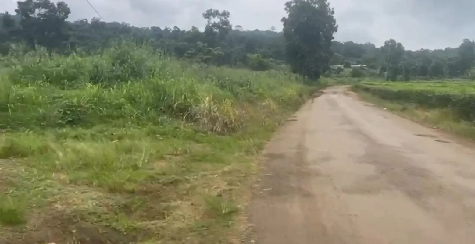 Main Photo - Real Estate | Land For Sale | Land Banking Opportunity At Tole - Buea Road, Bwassa Native Land., Bwasa New Layout, Buea, Cameroon
