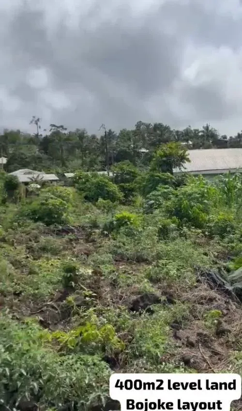 Main Photo - Real Estate | Land For Sale | New Listing – Prime Property For Sale In Bojoke New Layout 🏡, Bojoke New Layout, Limbé, Cameroon