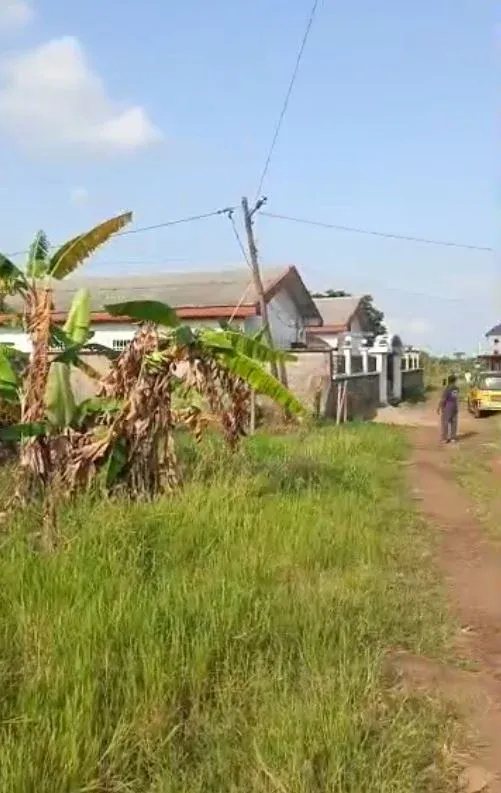 Main Photo - Real Estate | Land For Sale | Land For Sale – Mile 17 (Behind Wdc Apart Hotel), Buea 🏡, MIle 17 (Behind WDC Apart Hotel), Buea, Cameroon