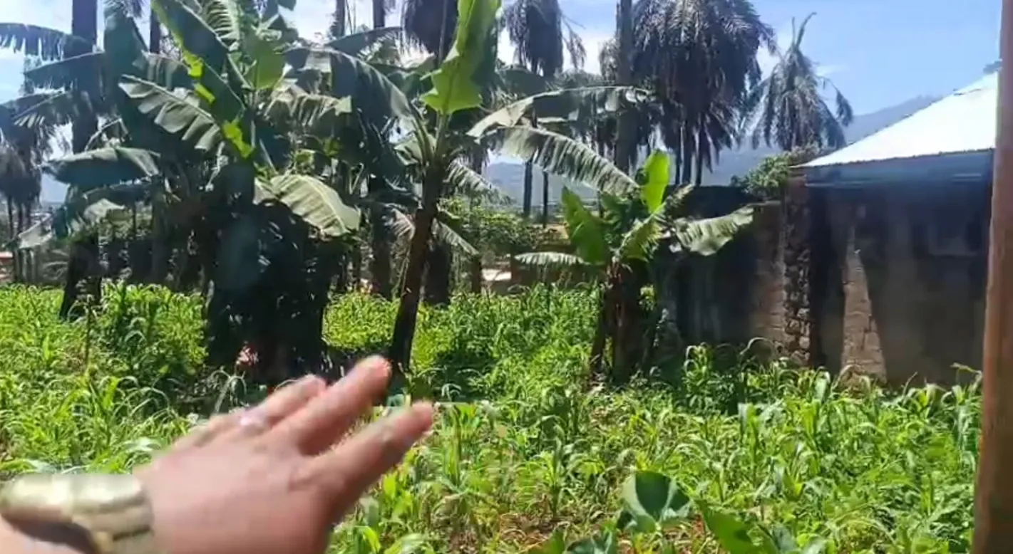 Main Photo - Real Estate | Land For Sale | Good Plot Opportunity Available At Foncha Street - Bamenda, Foncha Street, Bamenda, Cameroon