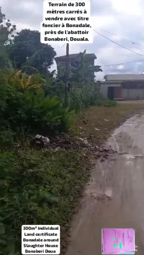 Main Photo - Real Estate | Land For Sale | New Listing — Affordable Prime Property ✨, Bonaberi - Douala, Douala, Cameroon