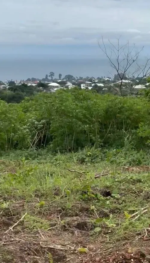 Main Photo - Real Estate | Land For Sale | New Listing Residential Property ✨, Etome Layout - Mile 2, Limbé, Cameroon