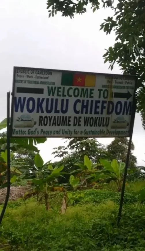 Main Photo - Real Estate | Land For Sale | Land For Sale – Wukulu, Buea 🇨🇲, Wokulu, Buea, Cameroon