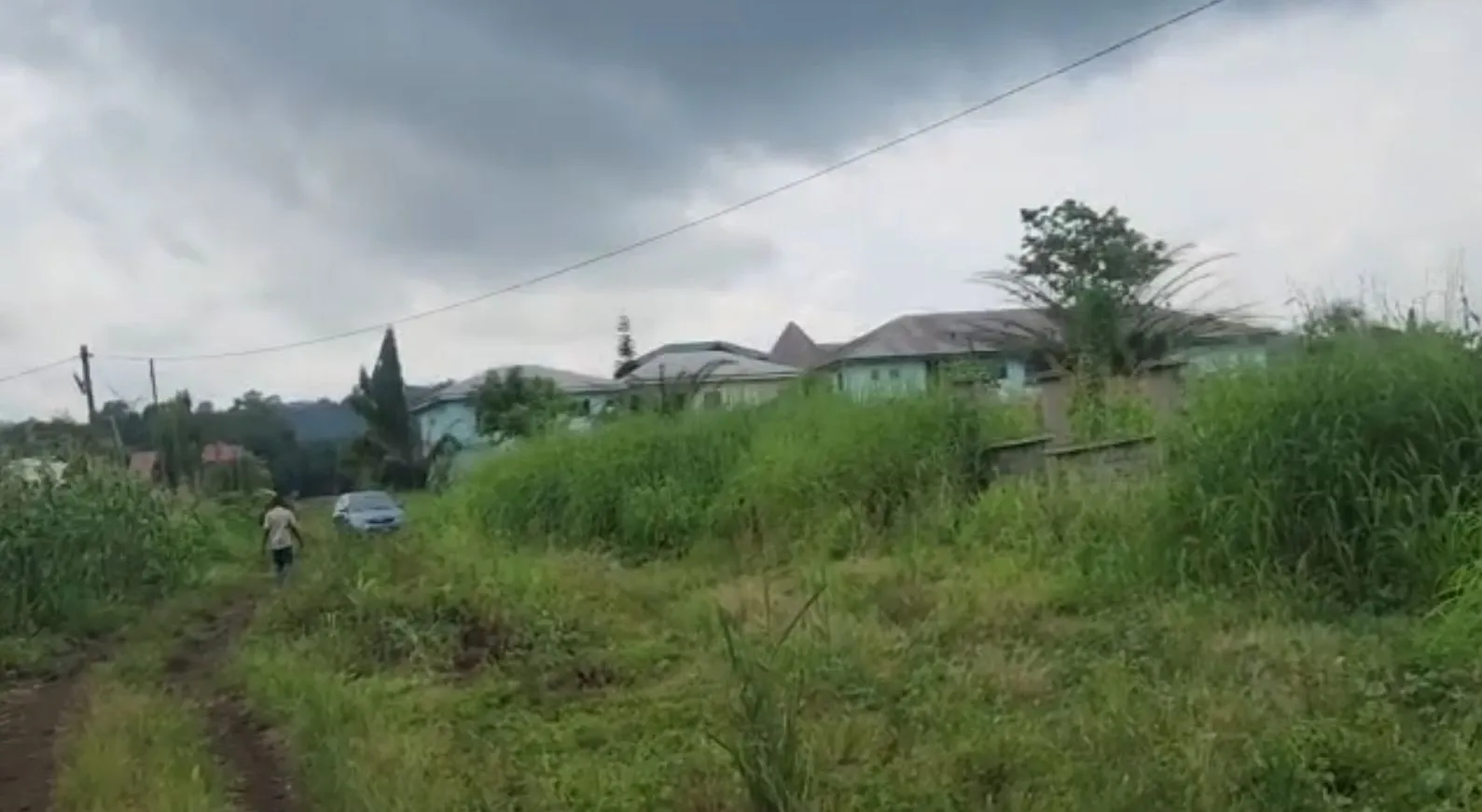 Main Photo - Real Estate | Land For Sale | Land For Sale – Boganjo Layout, Mutengene 📍, BOGANJO LAYOUT, Mutengene, Cameroon