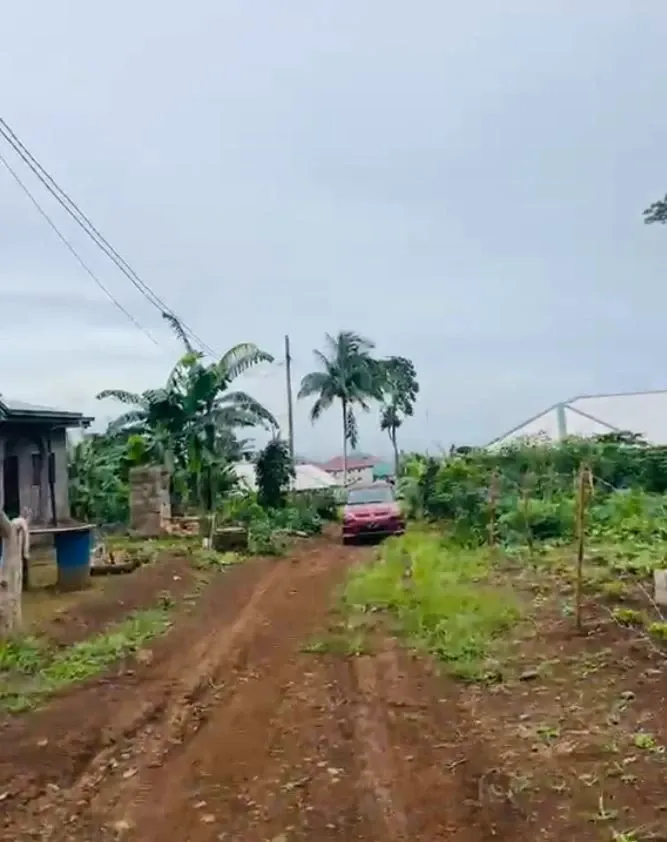 Main Photo - Real Estate | Land For Sale | Land For Sale – Bonduma Gate, Bonduma, Buea, Cameroon