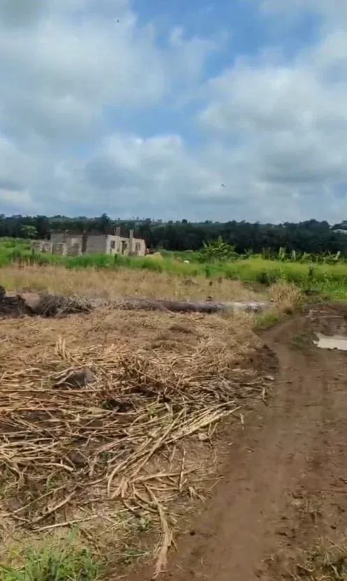 Main Photo - Real Estate | Land For Sale | Prime Plots For Sale – Tiko Golf Course Area! ⛳, Tiko Golf Course Area, Tiko, Cameroon