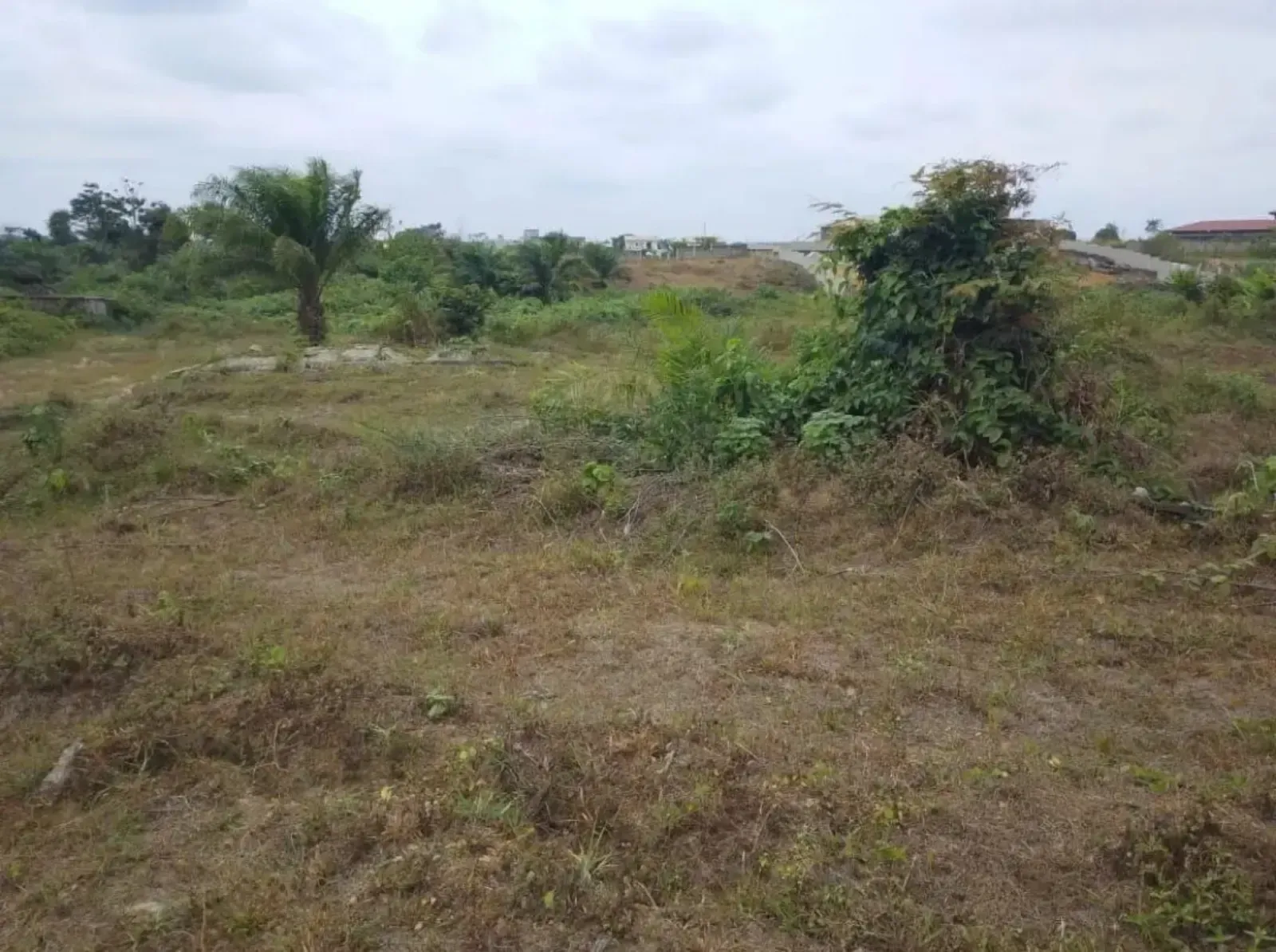 Main Photo - Real Estate | Land For Sale | Terrain, Akanda, Libreville, Gabon